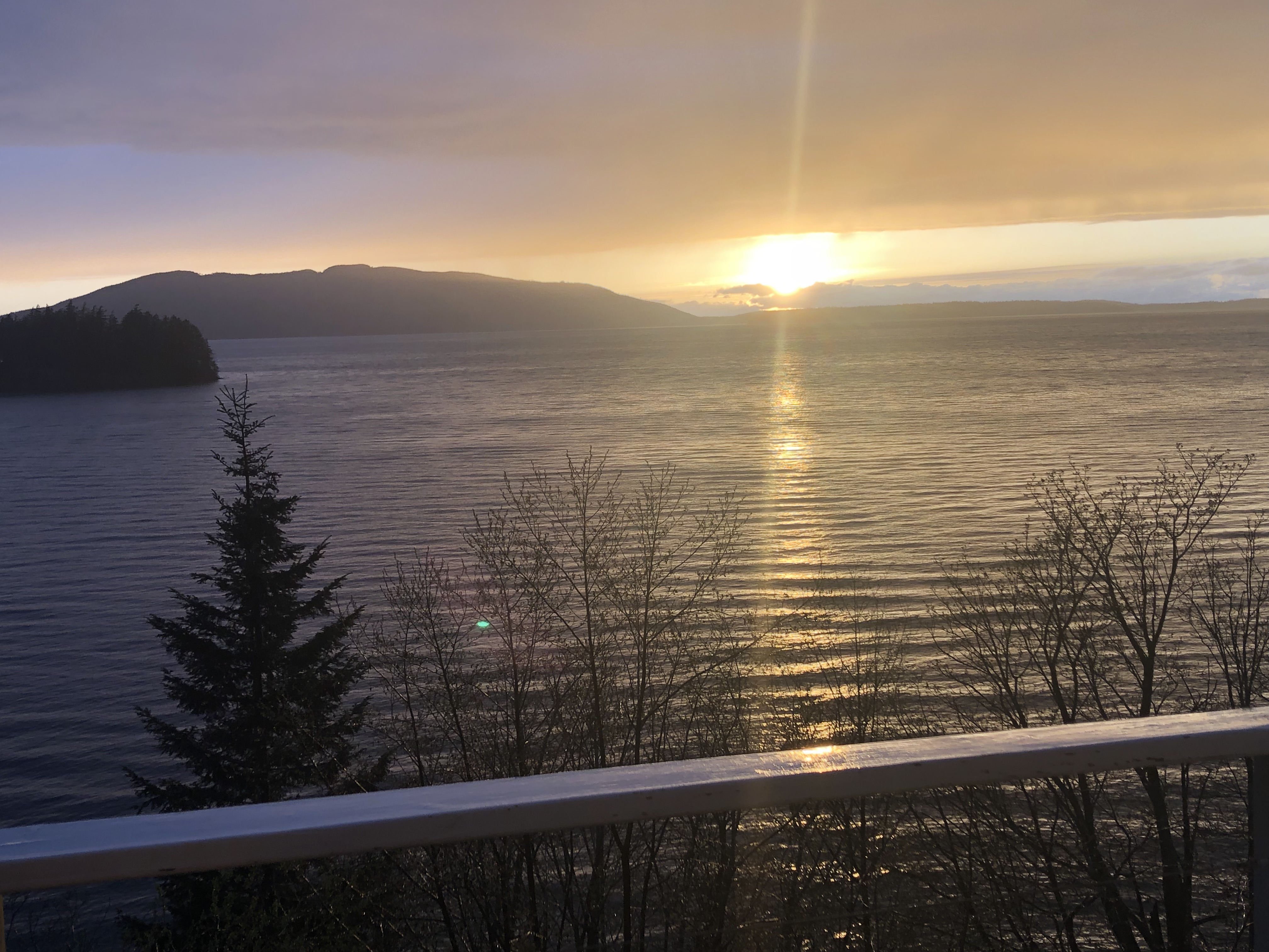 Scott Taylor Editing